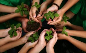 Beneficios de la educación ambiental en las escuelas