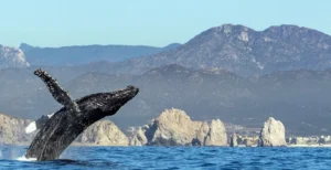 Rutas rurales y turismo comunitario en Baja California que conecta la naturaleza con las comunidades