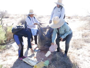 Guardianas del Conchalito: Regeneran manglares y transforman comunidades en Baja California