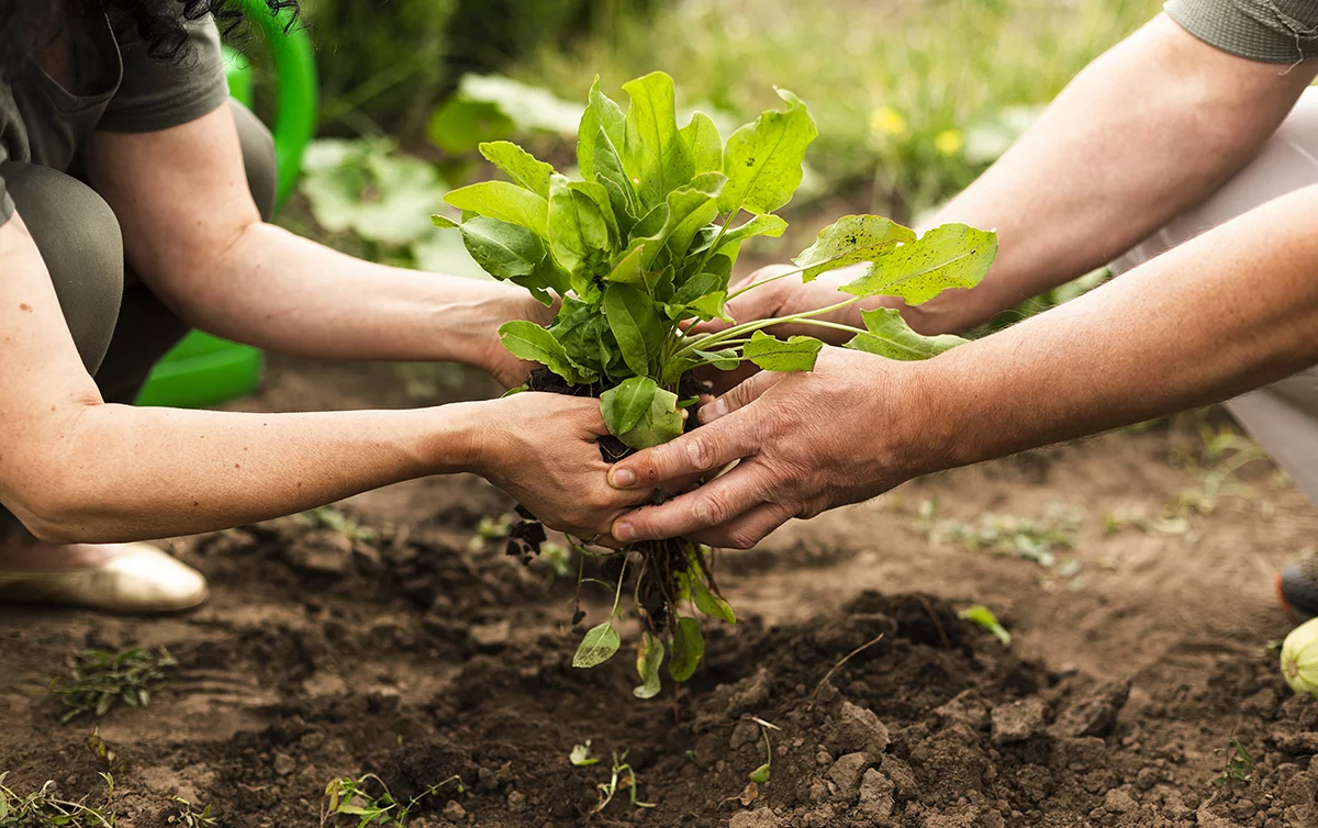 El poder del suelo sano: agroecología y turismo regenerativo se unen por la conservación